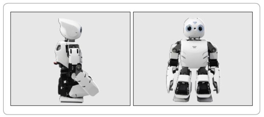 The Robotis page showing the ready position of the DARwIn-OP2